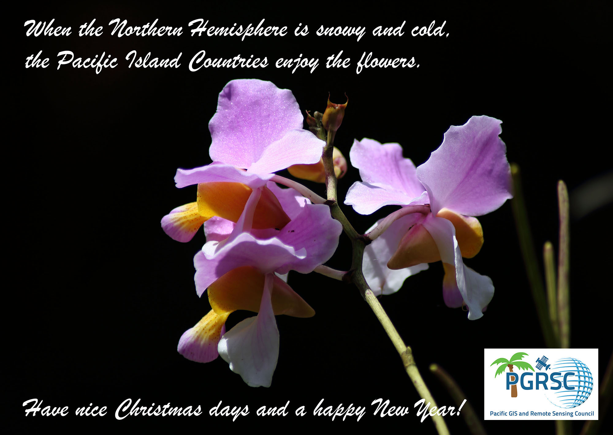 Happy New Year from PGRSC!